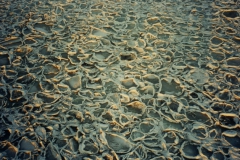 L10-A-jaren-70-ijs-9