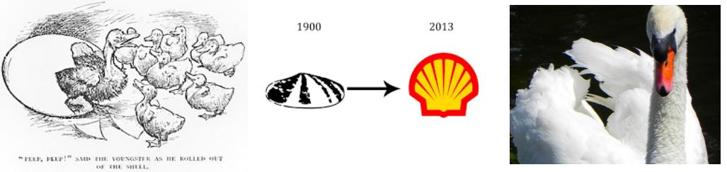 evolutie shell logo