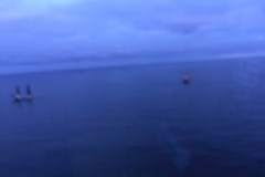 Sean-Romeo-Seajack-zaratan-23